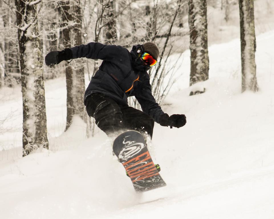 Canaan Valley Resort State Park Дейвис Екстериор снимка