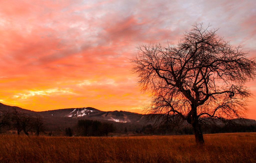 Canaan Valley Resort State Park Дейвис Екстериор снимка