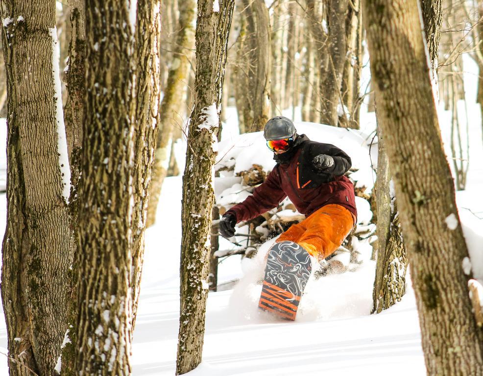 Canaan Valley Resort State Park Дейвис Екстериор снимка