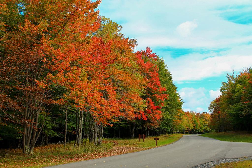 Canaan Valley Resort State Park Дейвис Екстериор снимка