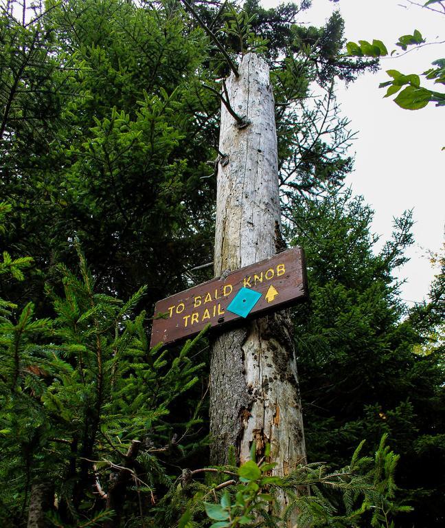 Canaan Valley Resort State Park Дейвис Екстериор снимка