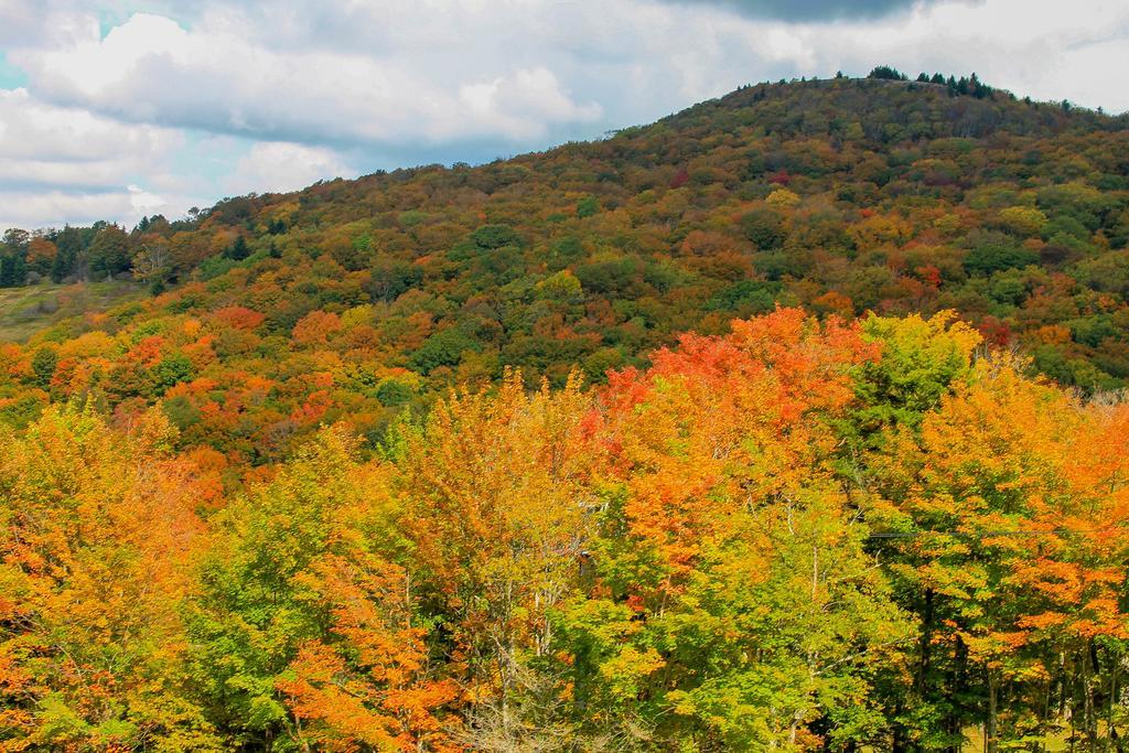 Canaan Valley Resort State Park Дейвис Екстериор снимка