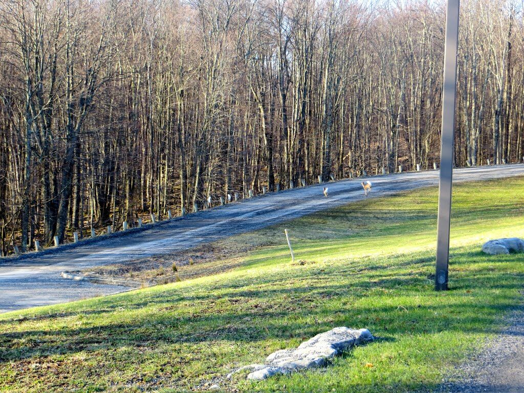 Canaan Valley Resort State Park Дейвис Екстериор снимка